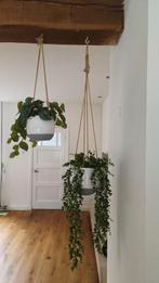 Hangplanten kunst in mooie potten van aardewerk (Intratuin), Ophalen of Verzenden, Zo goed als nieuw