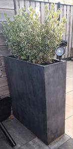 Grote bloembak polyester, Tuin en Terras, Bloembakken en Plantenbakken, Ophalen, Zo goed als nieuw, Kunststof, 60 cm of meer