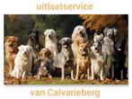 Dierenopvang/oppas en uitlaatservice, Uitlaatservice