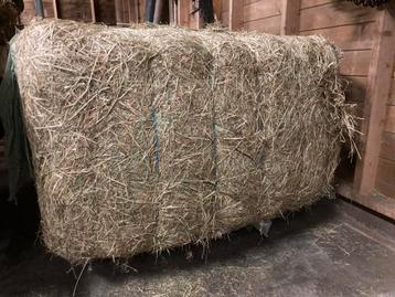 9 pakken hooipakken hooibalen haylage kuil voordroog hooi beschikbaar voor biedingen