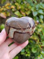 Septarie hart, Ophalen of Verzenden, Mineraal