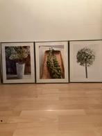 3 ingelijste posters, Huis en Inrichting, Ophalen of Verzenden, Zo goed als nieuw, Minder dan 50 cm, Schilderij