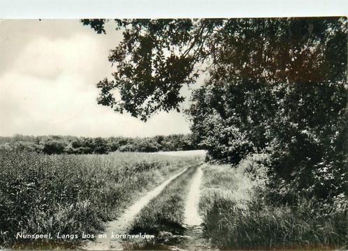 (387-151-043) Nunspeet Langs bos en korenvelden, Verzamelen, Ansichtkaarten | Nederland, Gelderland, Verzenden