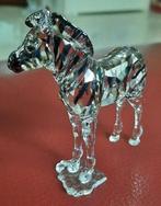 Swarovski scs 2021 baby zebra Zuri, Ophalen of Verzenden, Nieuw