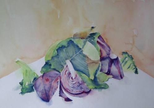 Aquarellen diversen, Huis en Inrichting, Woonaccessoires | Schilderijen, Tekeningen en Foto's, Nieuw, Schilderij, Minder dan 50 cm