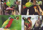 WWF set maxikaarten van de Kuhl – Lori (Papegaai), Ophalen of Verzenden, Gestempeld, Dier of Natuur