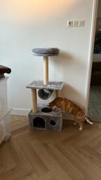 Katten krabpaal / ligplaats, Dieren en Toebehoren, Ophalen of Verzenden, Zo goed als nieuw, Krabpaal