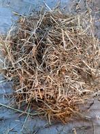 Midi balen, Dieren en Toebehoren, Dierenvoeding, Ophalen, Vee