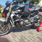MV Augusta Brutale 750, Motoren, Motoren | MV Agusta, Particulier, Naked bike