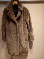 Winterjas, taupe kleur, mt S, Bruin, Nieuw, Ophalen of Verzenden, Maat 36 (S)