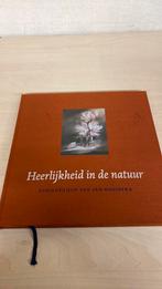 Boek met schilderijen van Jan Kooistra, Ophalen of Verzenden, Nieuw