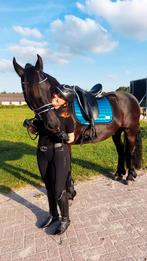 Bijrijder/verzorgster aangeboden, verzorgpaard gezocht, Dieren en Toebehoren, Ophalen of Verzenden, Nieuw