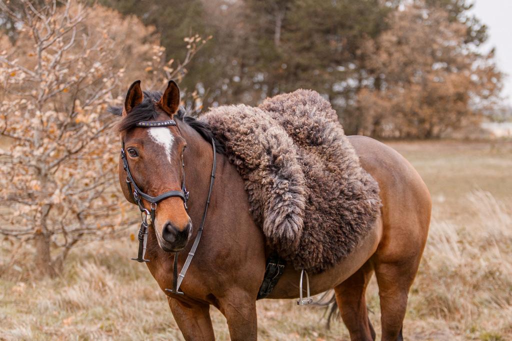 Luxe Schapenvacht voor Zadel of Barebackpad – Handgemaakt, Ophalen of Verzenden, Nieuw