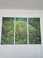 3 delig schilderij Indonesië sawa in Bali, Ophalen