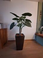 Mooie grote kunstplant in een geglazuurde grijze vierkante p, Tuin en Terras, Bloempotten, Ophalen, Vierkant, Binnen, Zo goed als nieuw