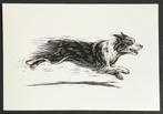 amerika 2020 hond Australische Herdershond  illustrateur, Ongelopen, Ophalen of Verzenden, 1980 tot heden, Hond of Kat