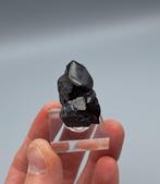 Cassiteriet - Elsmore, NSW, Australië, Ophalen of Verzenden, Mineraal