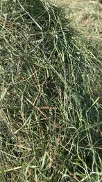 Kuilgras/Hooi, 2de/3de/4de snee.