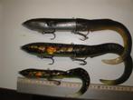 Savage Gear  3D  Hard Eel, Ophalen of Verzenden, Zo goed als nieuw, Overige typen