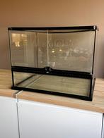 Glazen Terrarium / Reptielenverblijf, Dieren en Toebehoren, Reptielen en Amfibieën | Toebehoren, Ophalen, Zo goed als nieuw, Terrarium of Paludarium
