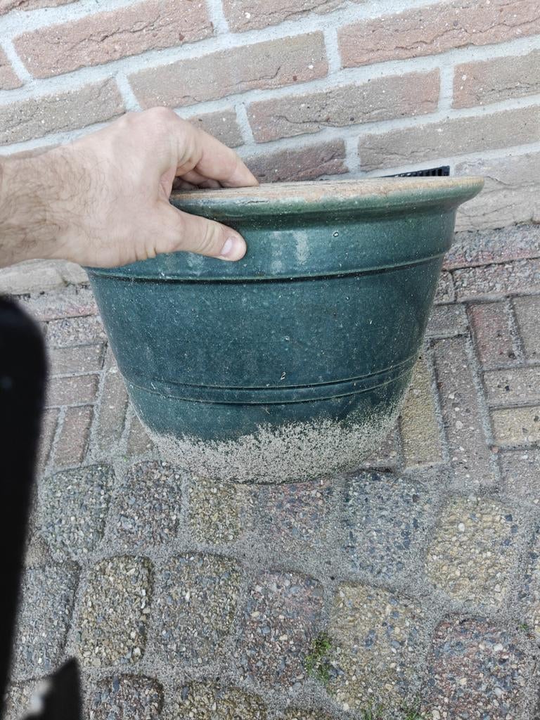 Groene bloempot, Ophalen of Verzenden