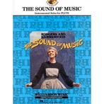 dwarsfluit beginner-gemiddeld: The sound of music+ cd-MOOI!, Gebruikt, Overige genres, Dwarsfluit of Piccolo, Ophalen of Verzenden