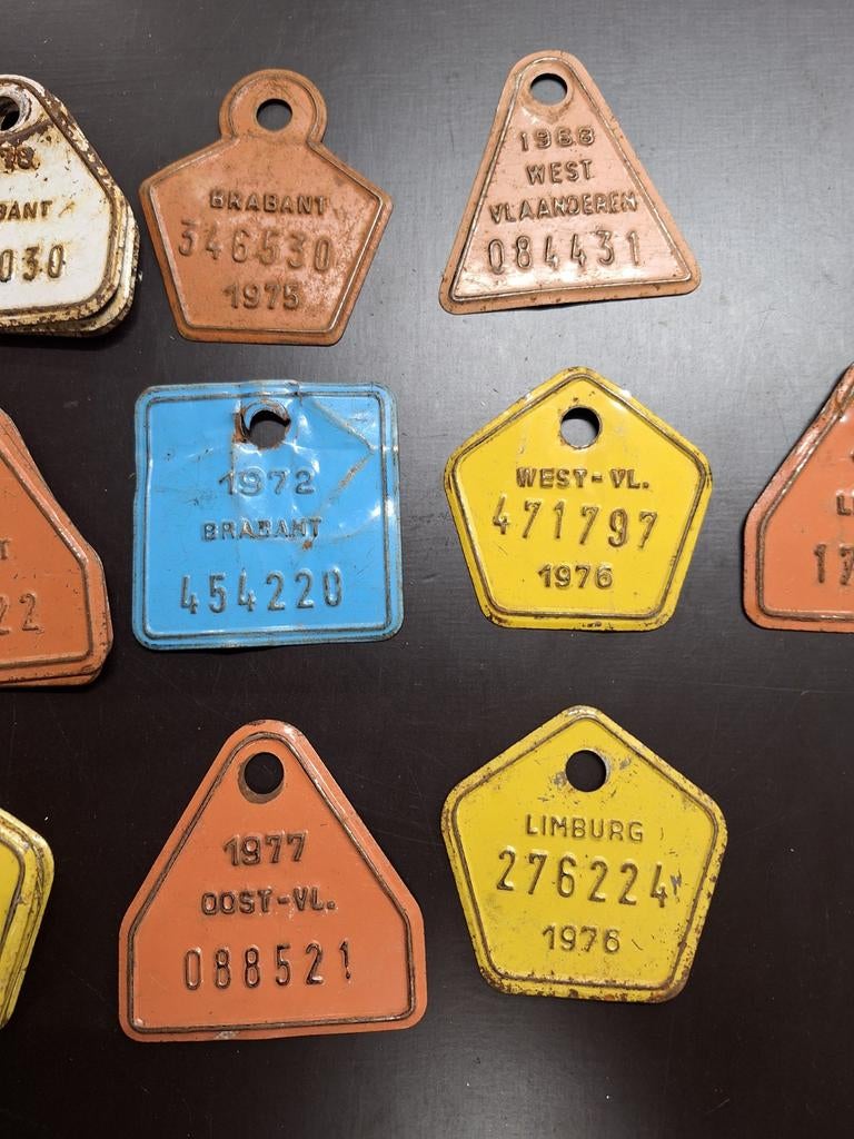 Fietstaksplaatjes, Ophalen of Verzenden, Overige typen