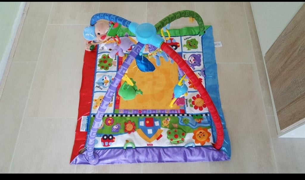 Fisher-Price speelkleed met bogen en speeltjes, Ophalen
