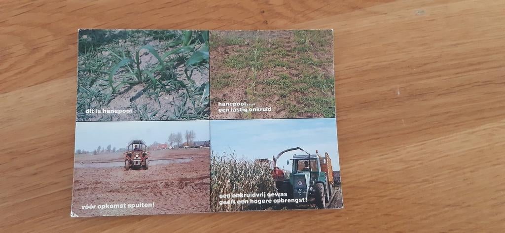 Hanepoot bestrijding CAV Veghel reclame kaart, Ophalen of Verzenden, 1980 tot heden, Ongelopen, Noord-Brabant
