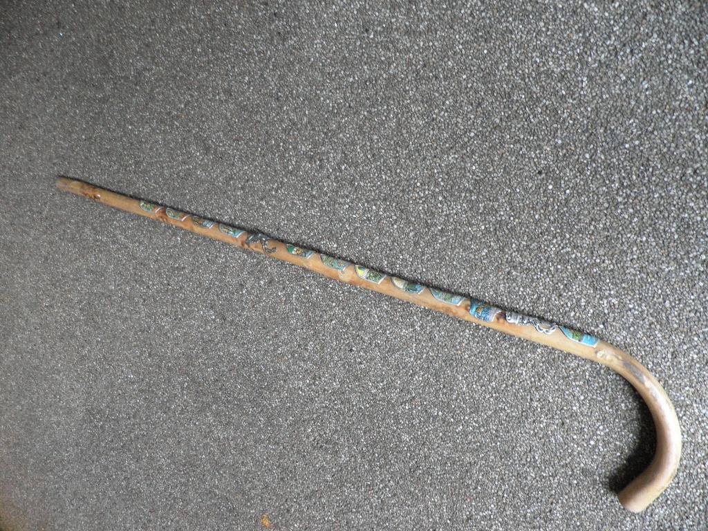 wandelstok met plaatjes, Ophalen of Verzenden, Zo goed als nieuw