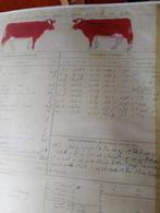 Gevraagd folkregisters uittreksels enz liefs MRIJ, Ophalen of Verzenden, Zo goed als nieuw