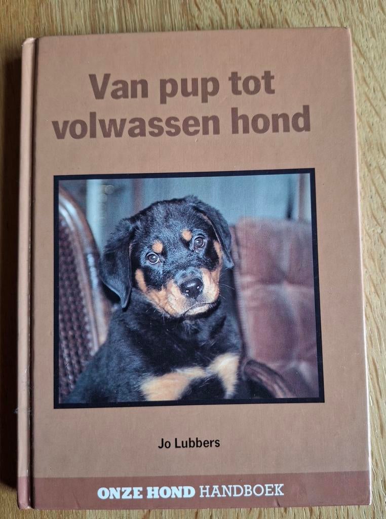 Van pup tot volwassen hond - Jo Lubbers - Hondenboek, Ophalen of Verzenden, Gelezen, Honden, Jo Lubbers