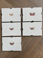 5x DECORATIEF Vlinders! 1910 - 110+ jaar OUD!, Ophalen of Verzenden