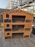 Prachtig houten Caviaflat te koop, Dieren en Toebehoren, Ophalen, 90 cm of meer, Hok, Cavia
