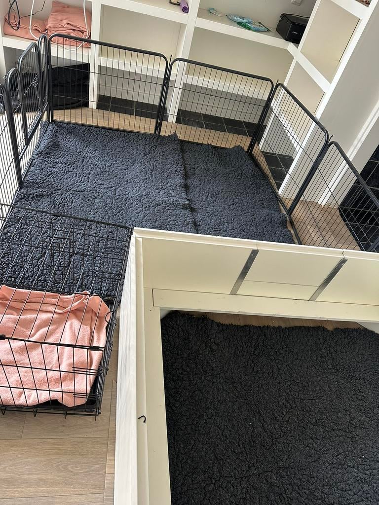 Werpkist + vele toebehoren oa camera,5 vetbedden, bench, ren, Dieren en Toebehoren, Ophalen, Zo goed als nieuw