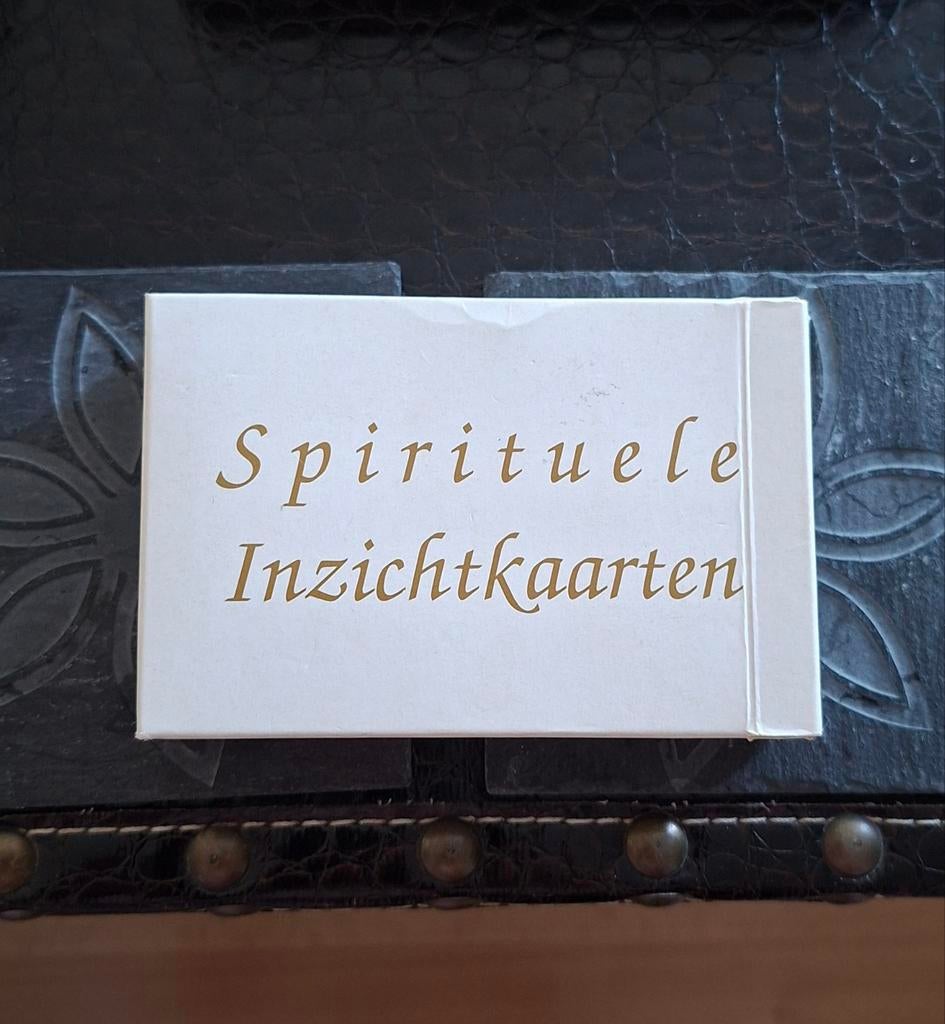 Spirituele Inzichtkaarten – Dick Nijssen, Ophalen of Verzenden, Zo goed als nieuw