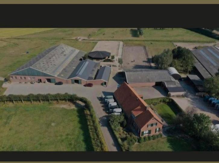 Pensionstalling Breda, Dieren en Toebehoren, Stalling en Weidegang, Stalling, Weidegang