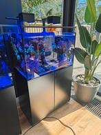 Red sea reefer 300xl zonder levende haven met lampen, Dieren en Toebehoren, Ophalen, Leeg aquarium