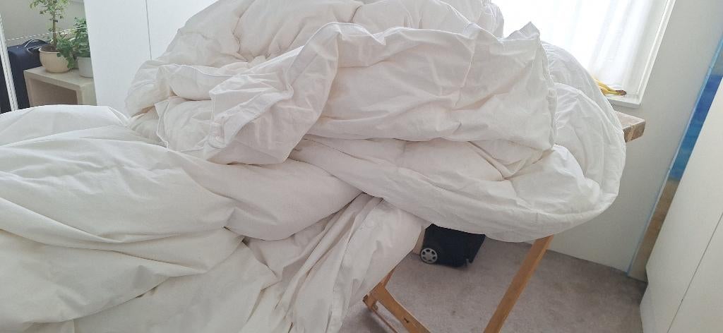 donzen dekbed, Ophalen, Wit, Tweepersoons, Deken of Dekbed