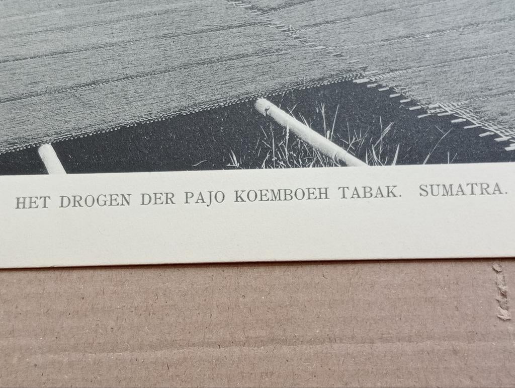 Foto gravure Nederlands Indië Indonesië 1910, Verzamelen, Ophalen of Verzenden, Voor 1940, Zo goed als nieuw, Buitenland