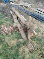 Eiken brandhout, Tuin en Terras, Ophalen of Verzenden