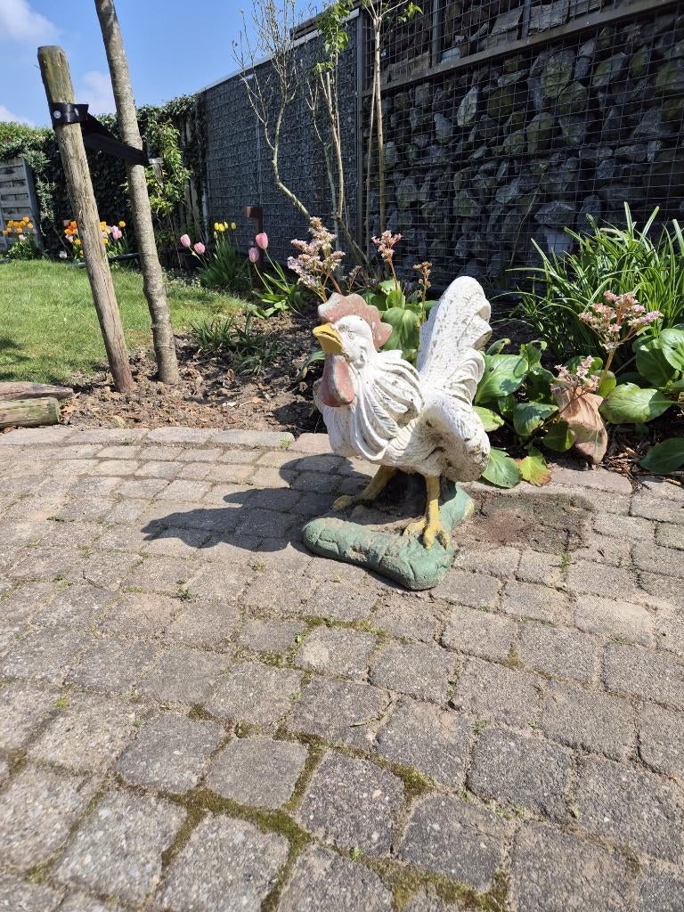 betonnen beeld haan, Ophalen, Gebruikt, Beton, Dierenbeeld