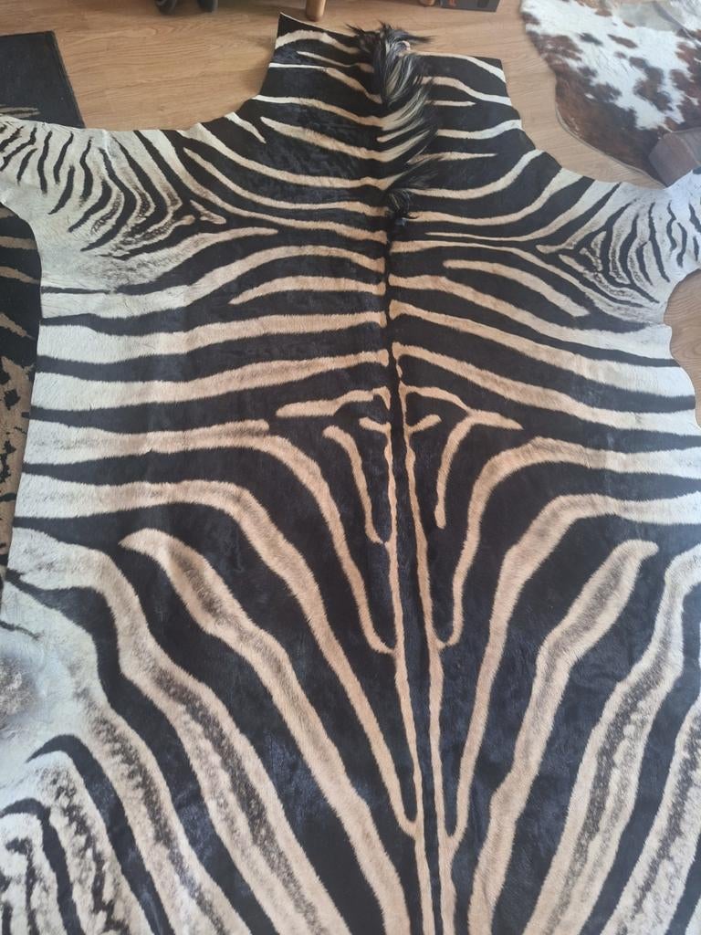 Mooie huiden uit Zuid-Afrika, Ophalen, Rechthoekig, 50 tot 100 cm