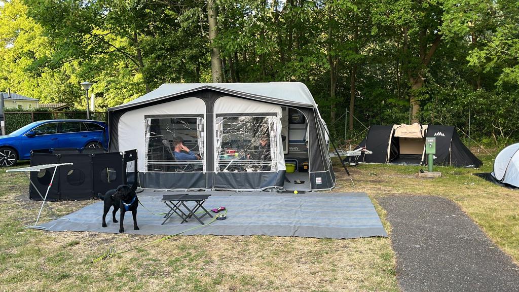 voortent met luifel Dorema Sydney XL270 omloopmaat 11, Ophalen, Zo goed als nieuw, Ten Cate All Season 240g/m2, Dorema