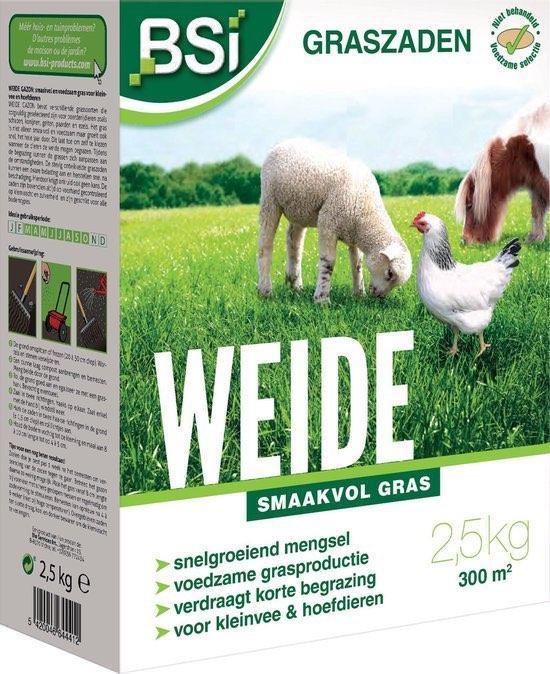 Graszaad Weide Voedzaam en Smaakvol - 2,5 kg voor 300 m², Tuin en Terras, Gras en Kunstgras, Nieuw, 20 m² of meer, Verzenden