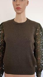 By Clara Paris truitje aparte mouwen M, Ophalen of Verzenden, Zo goed als nieuw, Maat 46/48 (XL) of groter, Groen