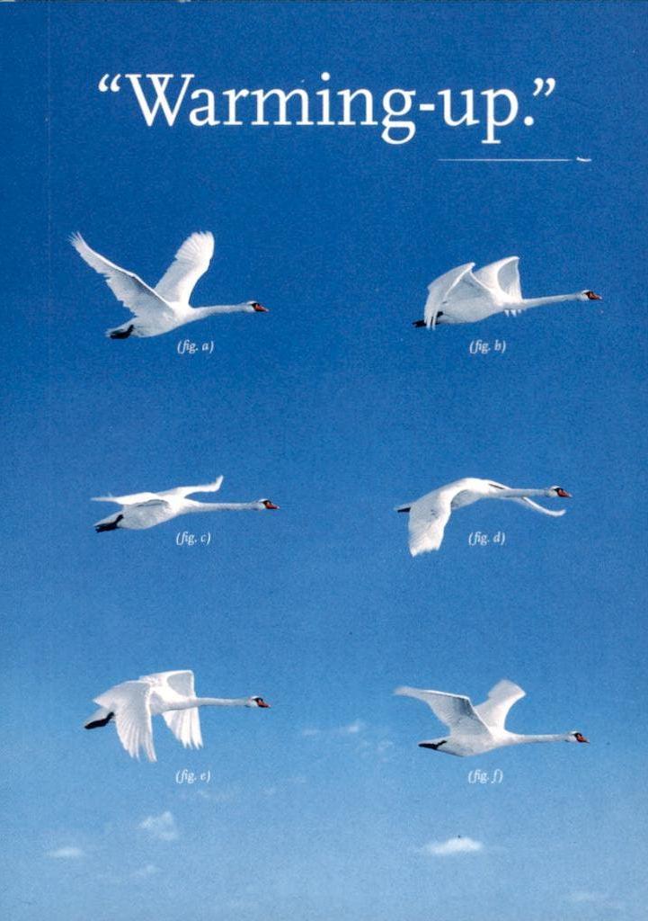 Warming up, KLM zwanen, Verzamelen, Verzenden, 1980 tot heden, Ongelopen, Overige thema's