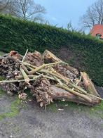 Haardhout kachelhout, Tuin en Terras, Minder dan 3 m³, Ophalen, Overige houtsoorten, Stammen