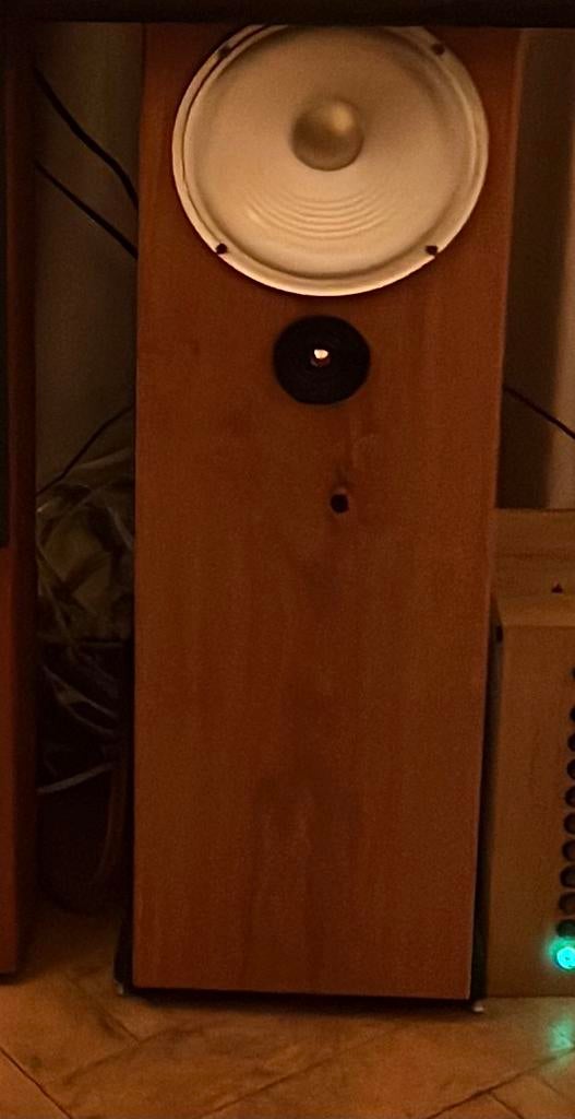 Speakers Transmission line 100W, Audio, Tv en Foto, Luidsprekers, Nieuw, 60 tot 120 watt, Front, Rear of Stereo speakers, Ophalen