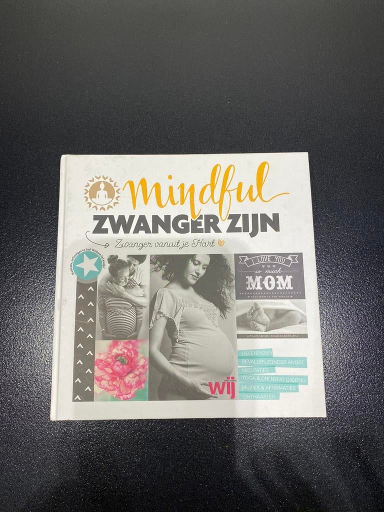 Boek en DVD van Anna van Amsterdam - Mindful zwanger zijn, Boeken, Ophalen of Verzenden, Zo goed als nieuw, Zwangerschap en Bevalling
